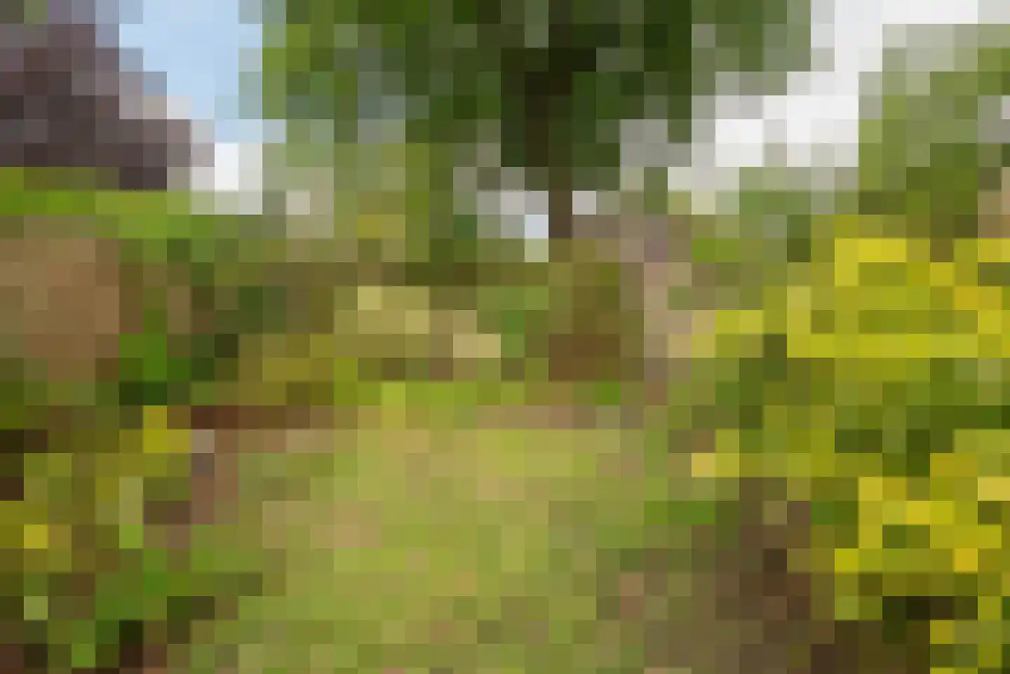 Heymanshof 21 Haren Gn thumbnail 37