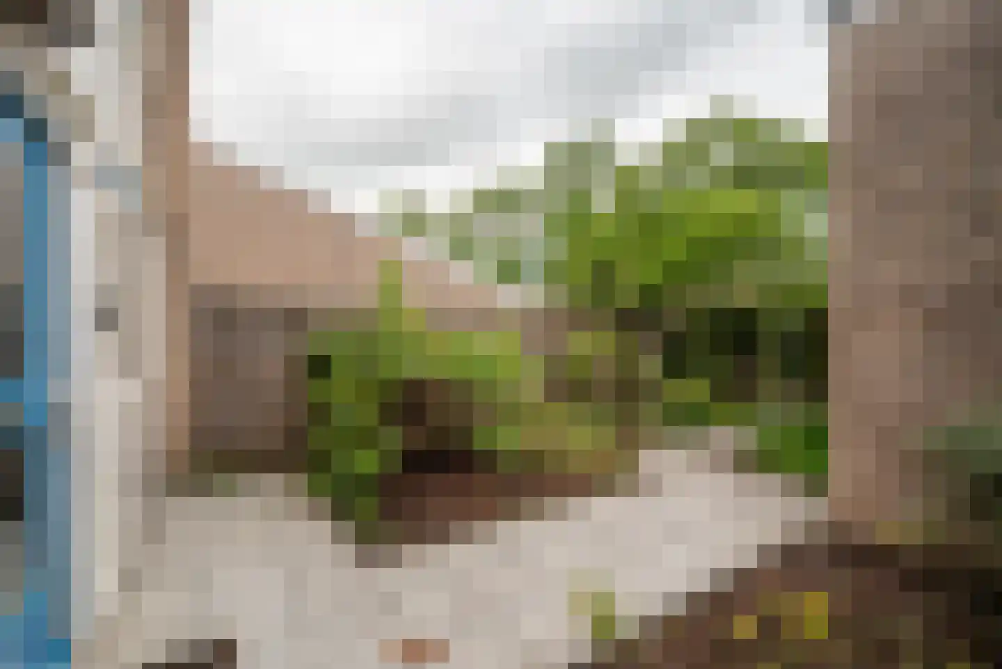 Heymanshof 21 Haren Gn thumbnail 9