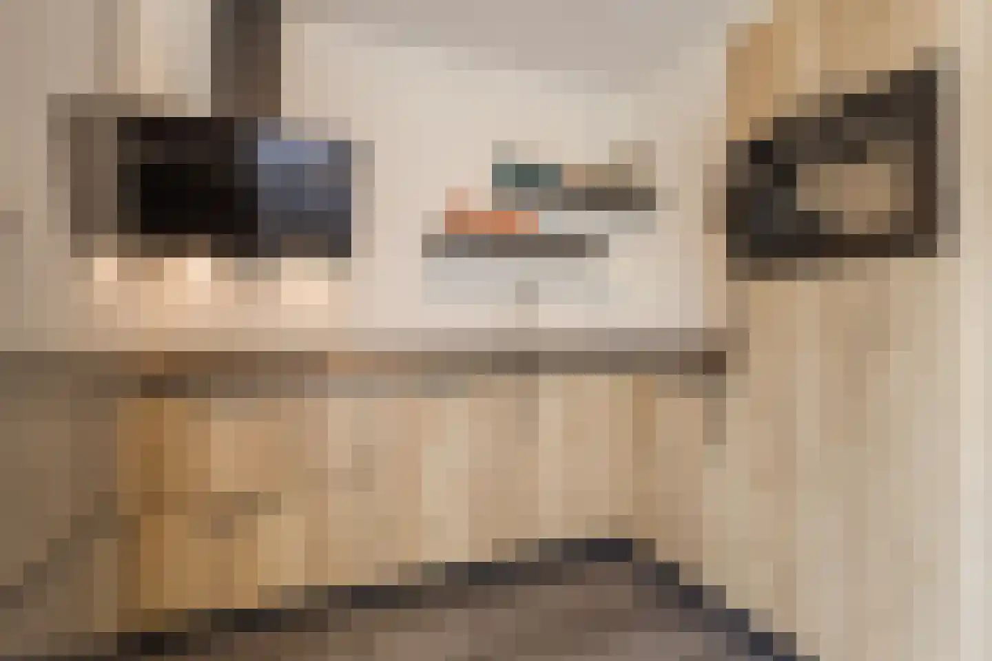 Heymanshof 3 Megchelen thumbnail 15