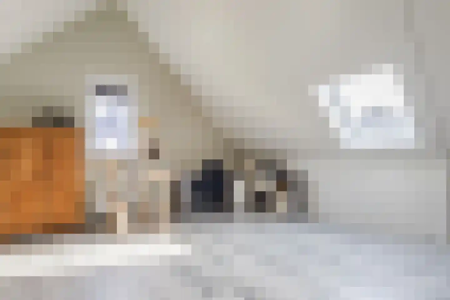 Heymanshof 3 Megchelen thumbnail 21