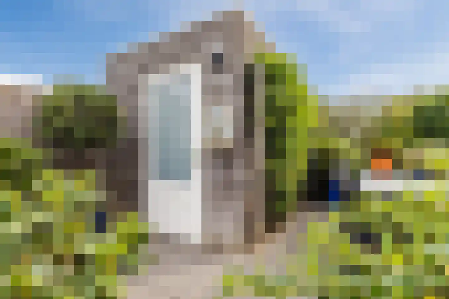 Heymanshof 3 Megchelen thumbnail 24