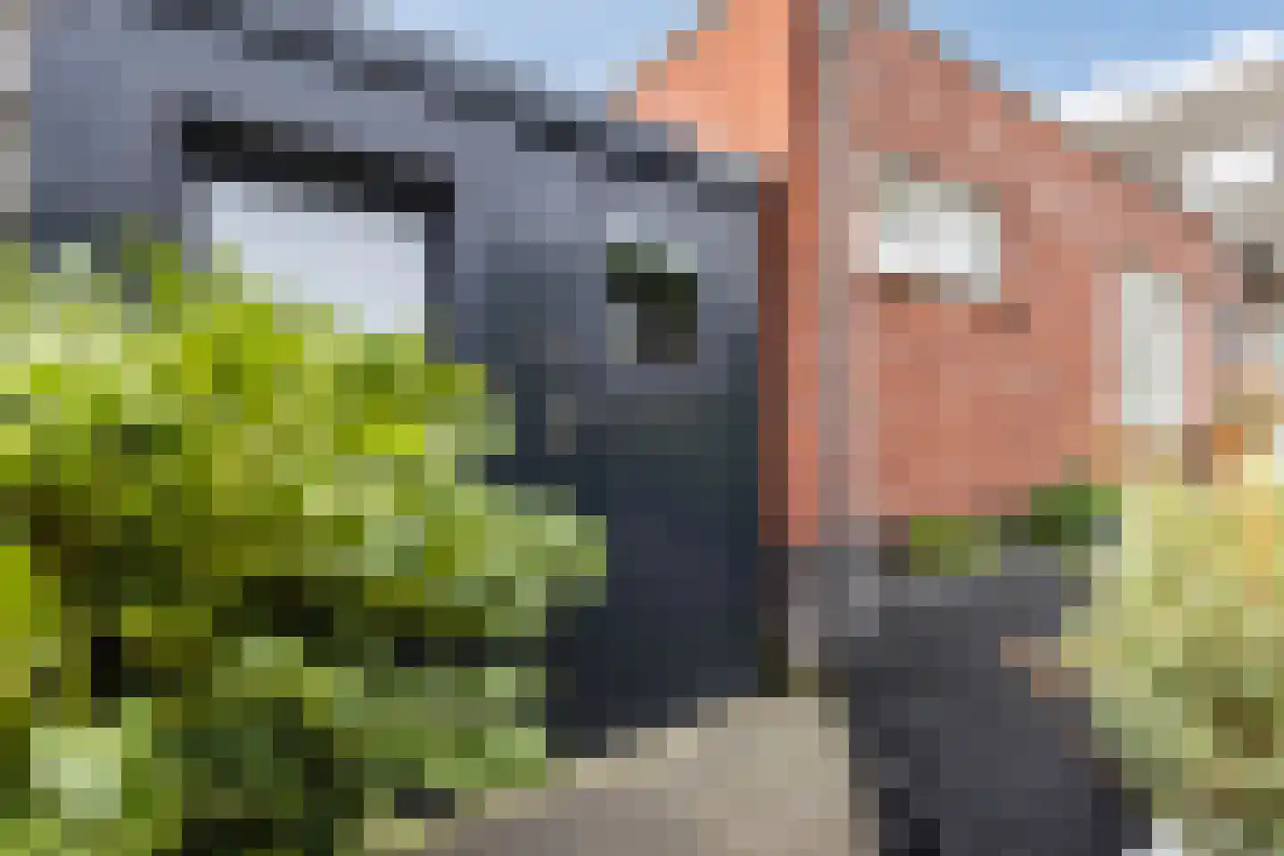 Heymanshof 3 Megchelen thumbnail 27