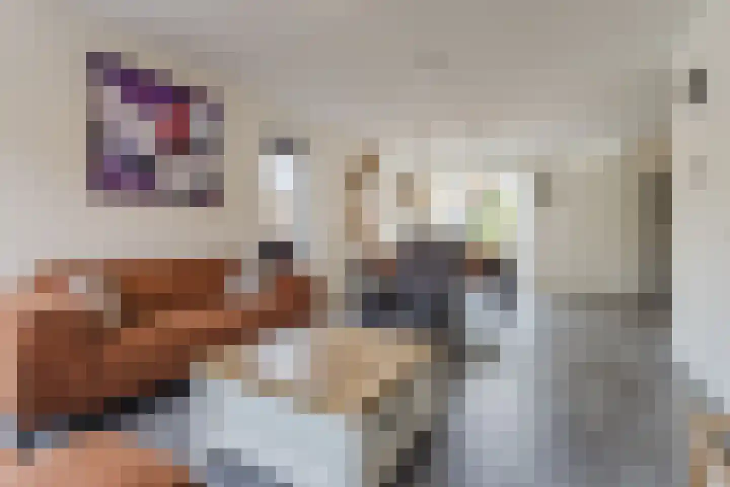 Heymanshof 3 Megchelen thumbnail 4