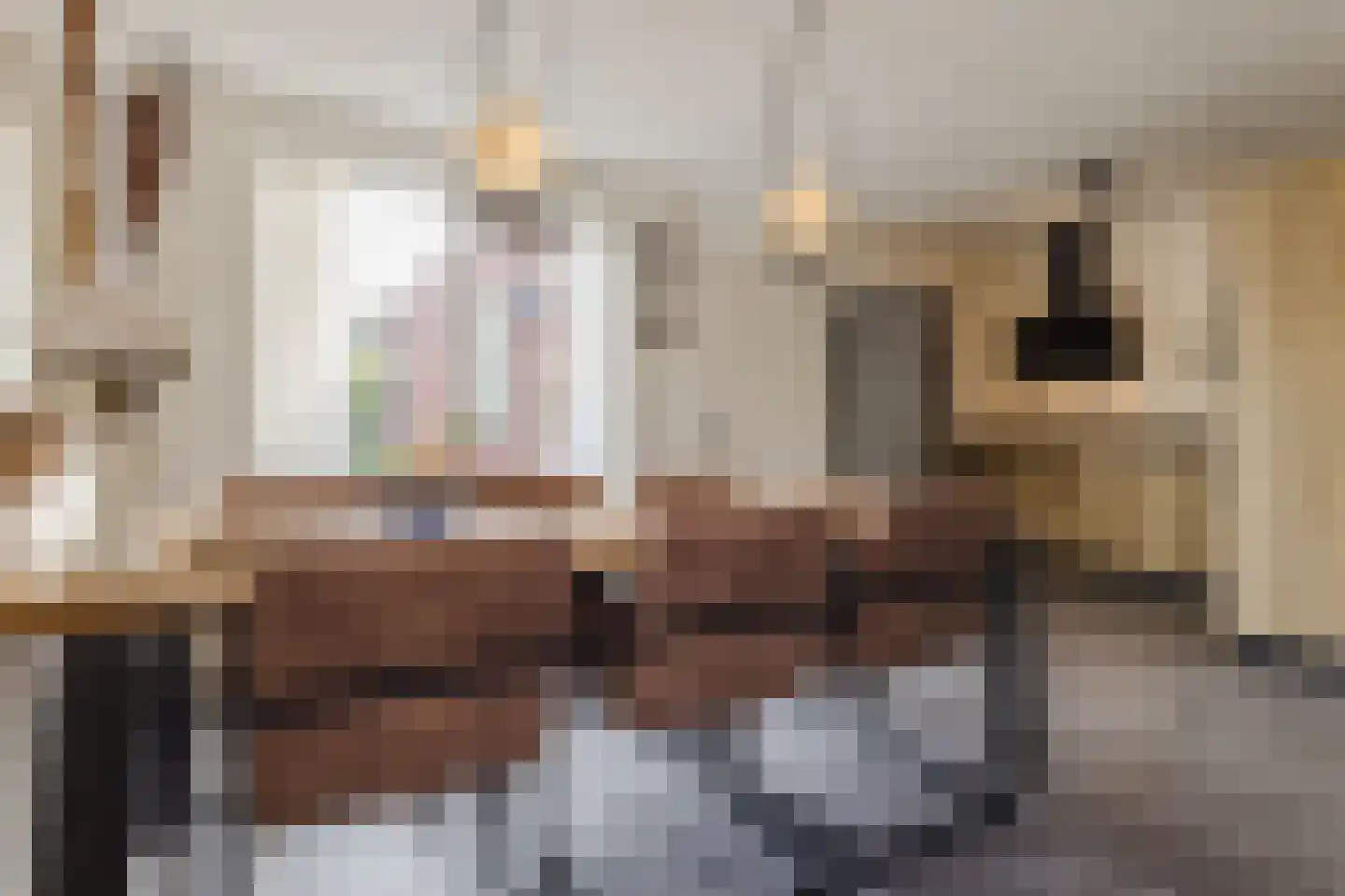 Heymanshof 3 Megchelen thumbnail 5