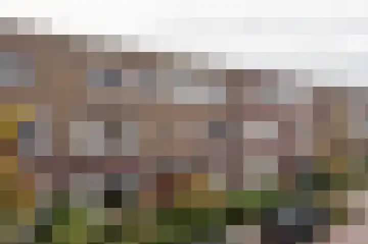Heymanslaan 20 a Groningen thumbnail 6