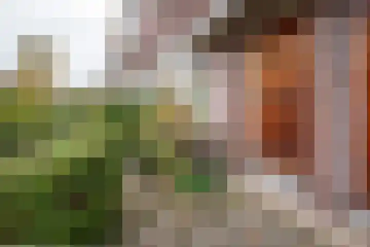 Heymanslaan 20 a Groningen thumbnail 8