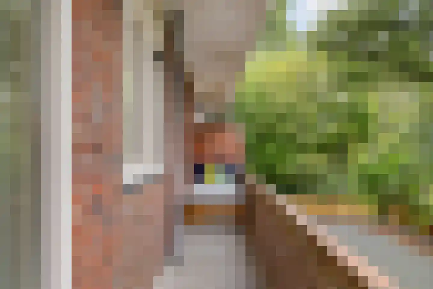 Heymanslaan 25 a Groningen thumbnail 22
