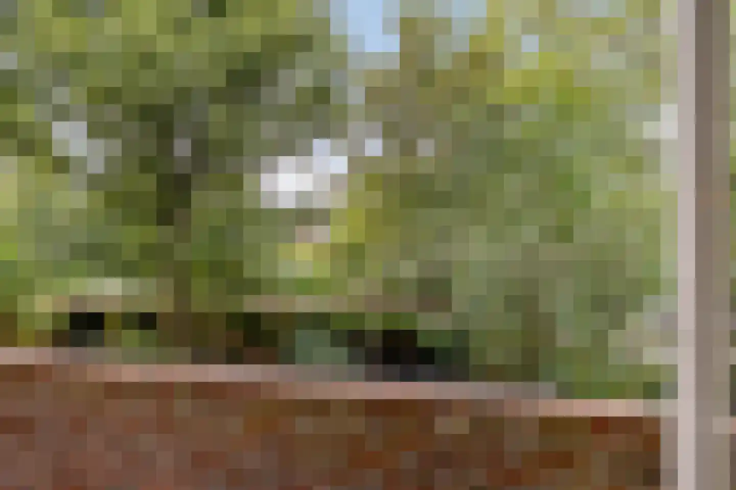 Heymanslaan 25 a Groningen thumbnail 24
