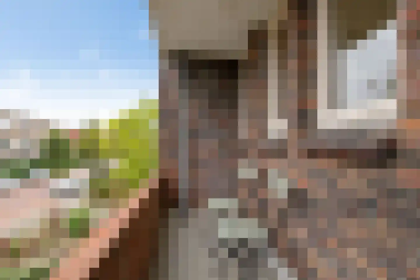 Heymanslaan 25 a Groningen thumbnail 30