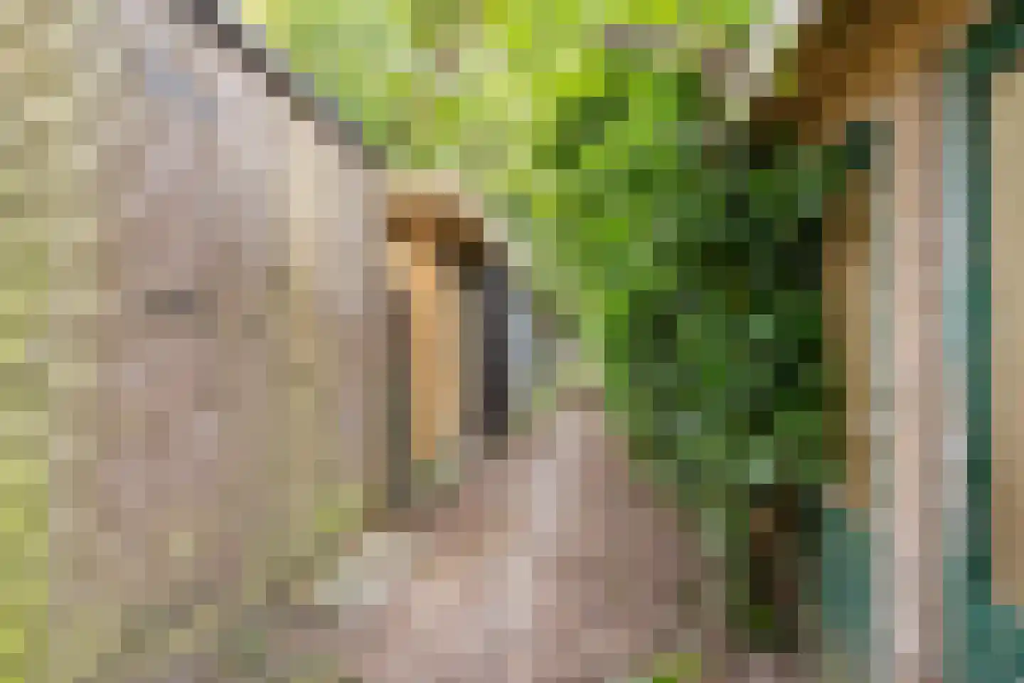 Heymanslaan 25 a Groningen thumbnail 37