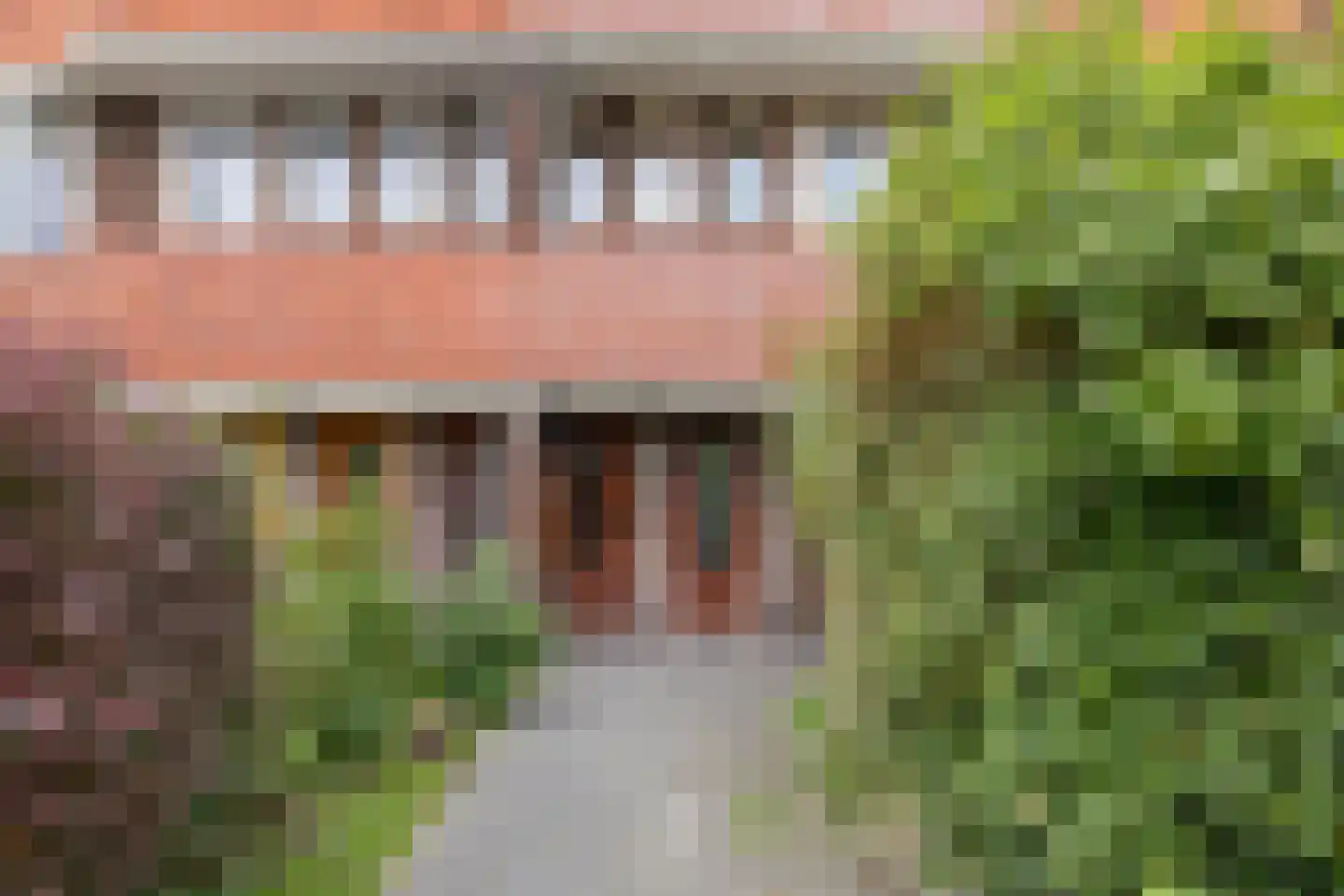 Heymanslaan 25 a Groningen thumbnail 39