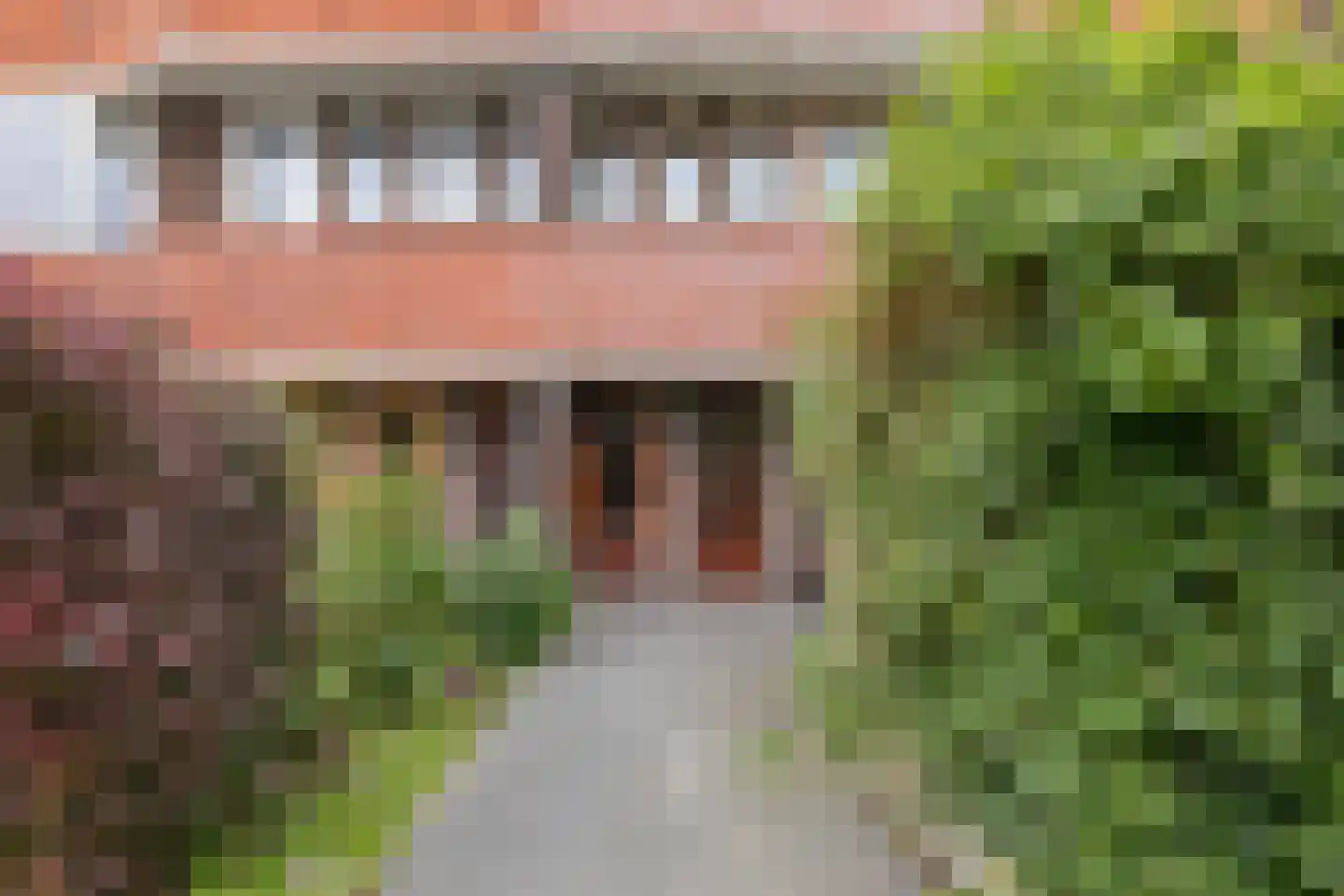 Heymanslaan 25 a Groningen thumbnail 40