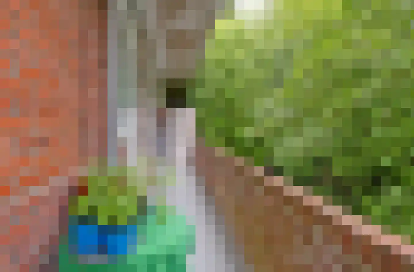 Heymanslaan 27 a Groningen thumbnail 23