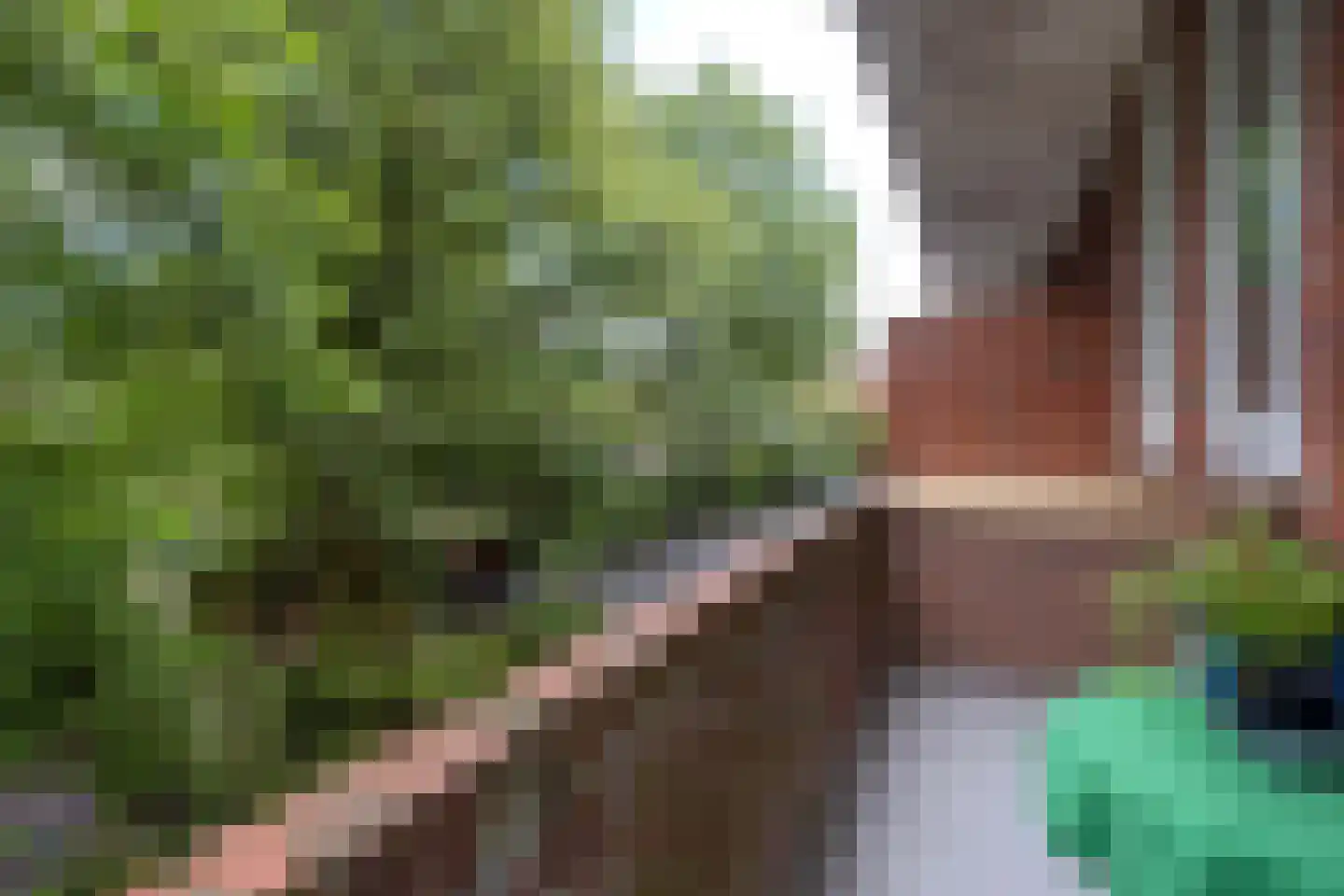 Heymanslaan 27 a Groningen thumbnail 24