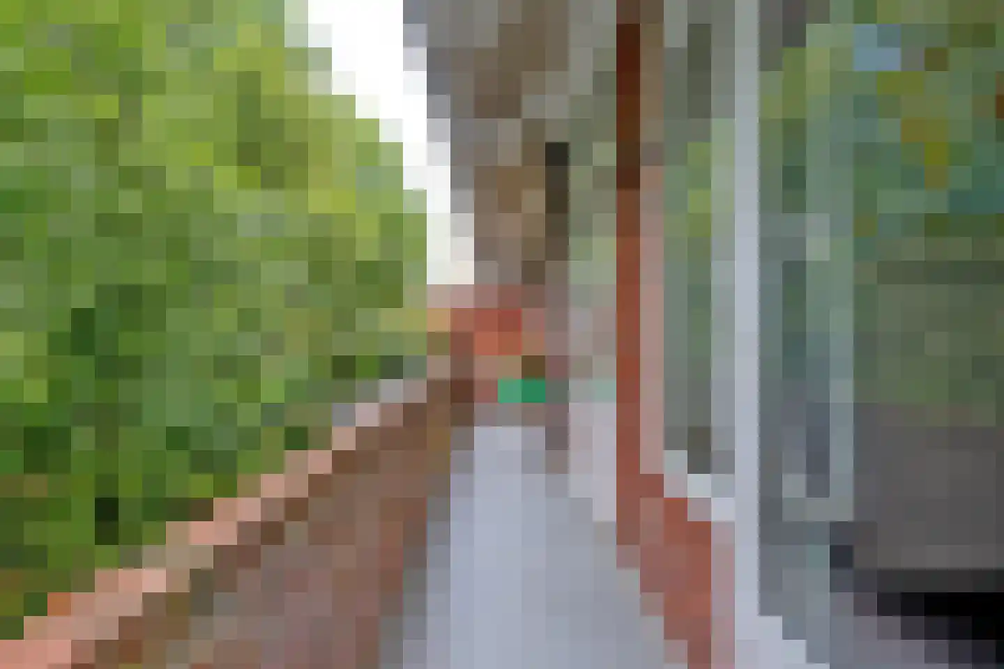 Heymanslaan 27 a Groningen thumbnail 25