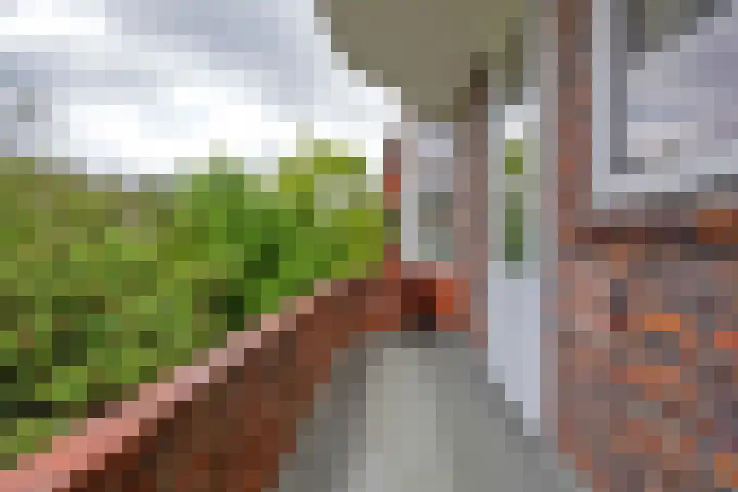 Heymanslaan 27 a Groningen thumbnail 38