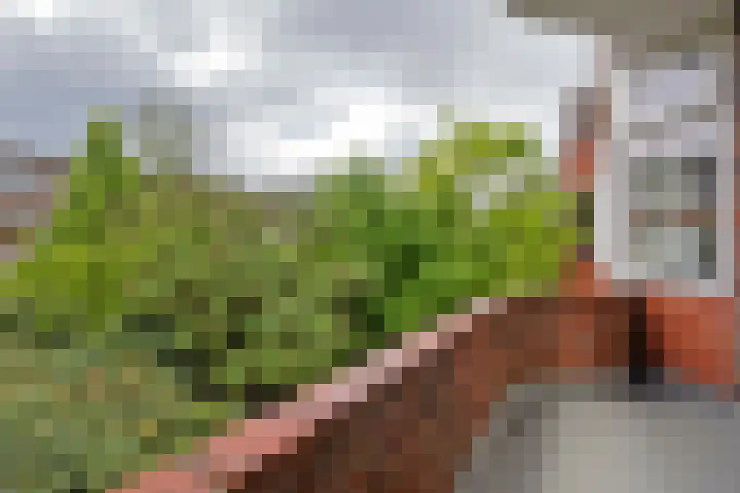 Heymanslaan 27 a Groningen thumbnail 39