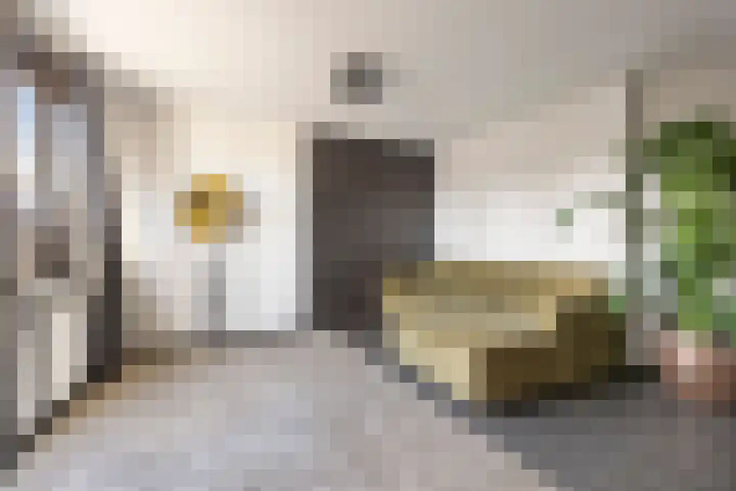 Heymanslaan 3 b Groningen thumbnail 22