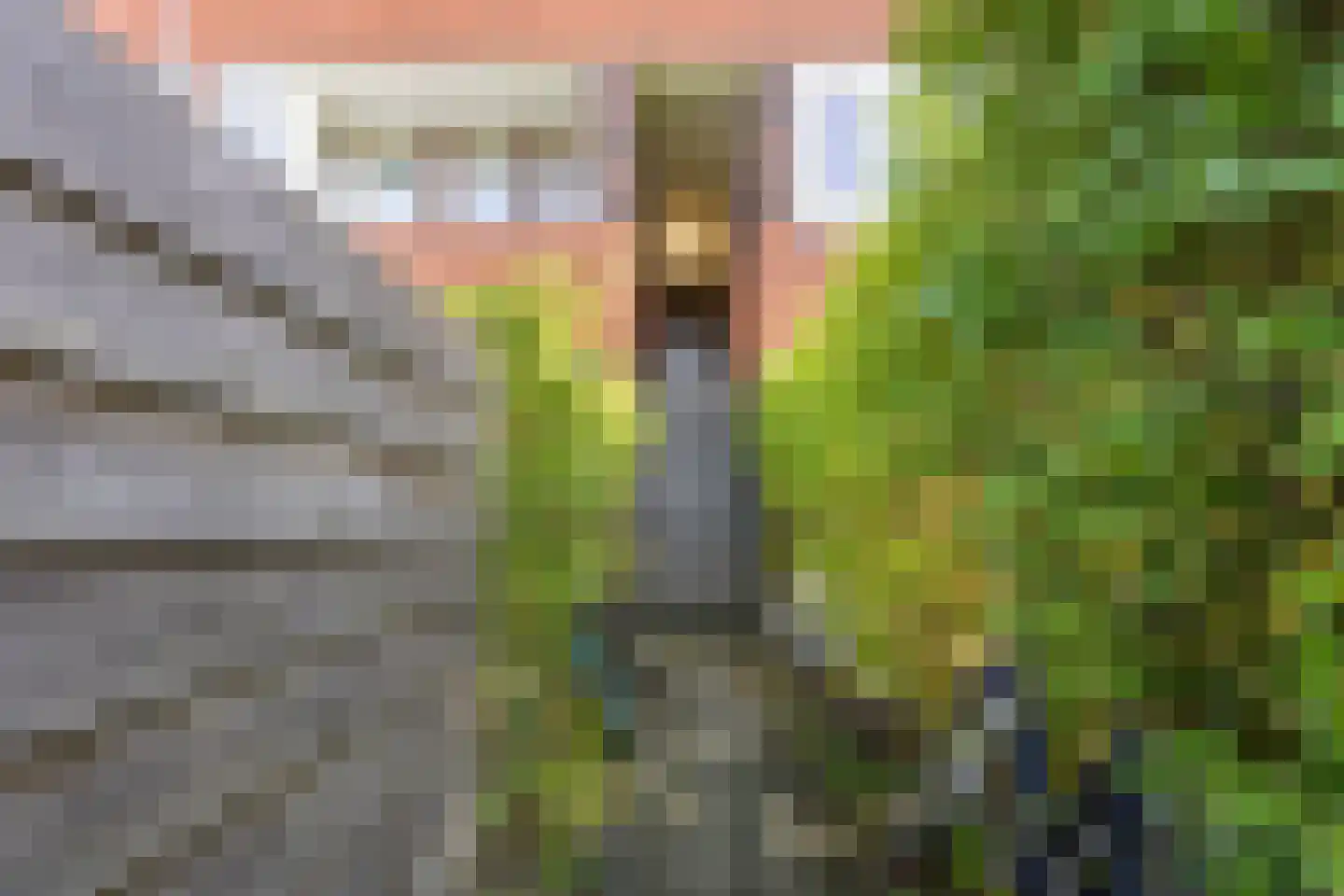 Heymanslaan 3 b Groningen thumbnail 5