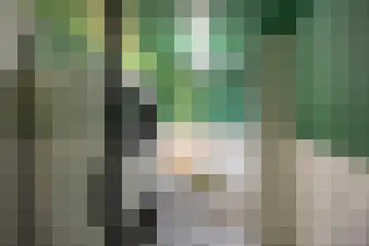 Heymanslaan 39 Groningen thumbnail 22