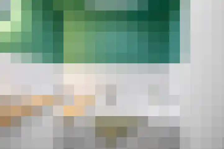 Heymanslaan 39 Groningen thumbnail 23