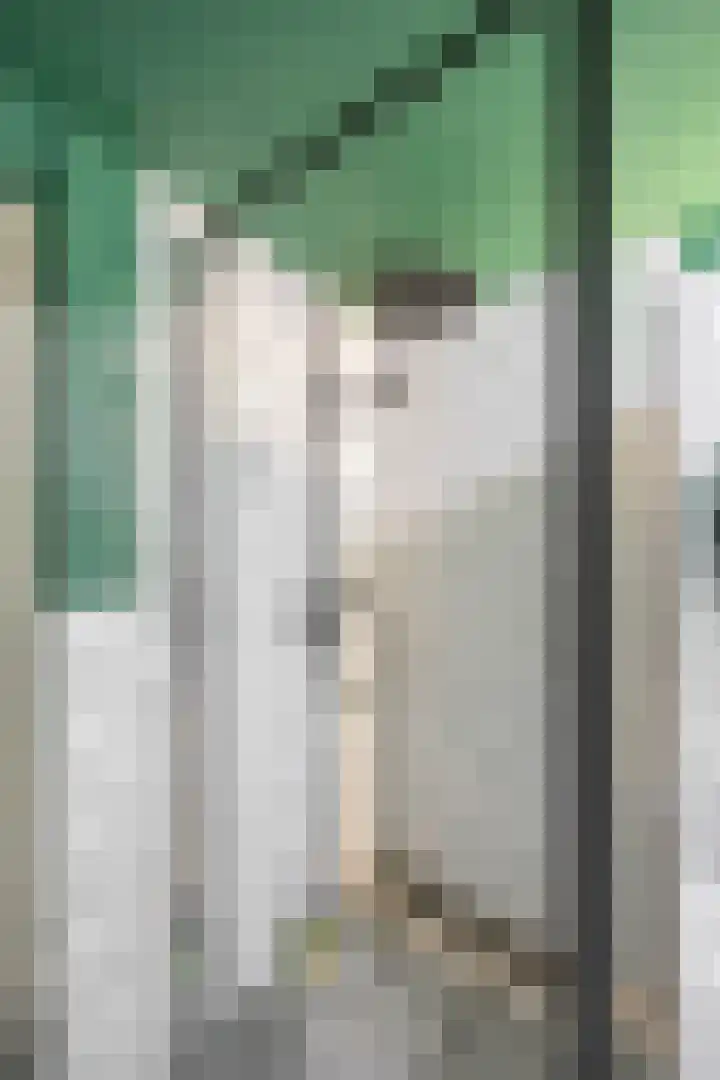 Heymanslaan 39 Groningen thumbnail 25