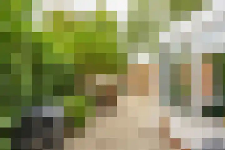 Heymanslaan 39 Groningen thumbnail 27