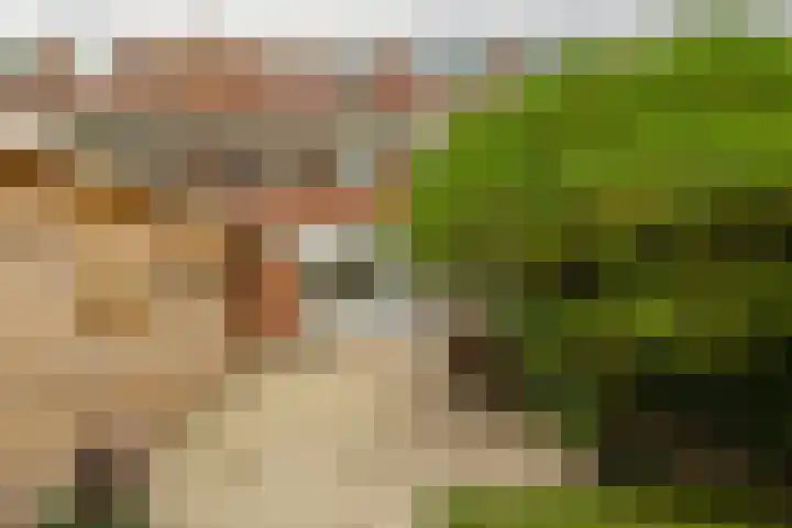 Heymanslaan 39 Groningen thumbnail 28