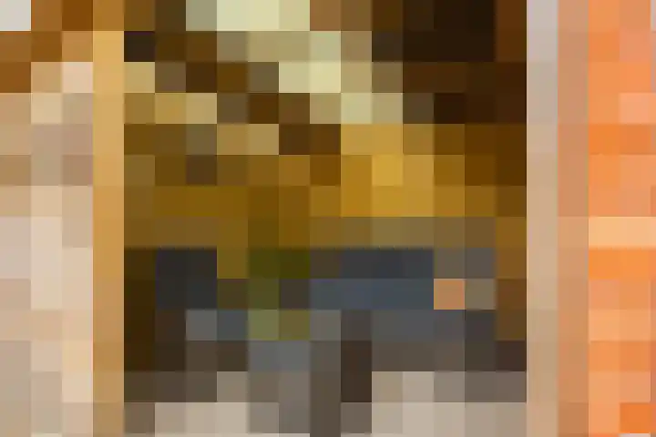 Heymanslaan 39 Groningen thumbnail 29
