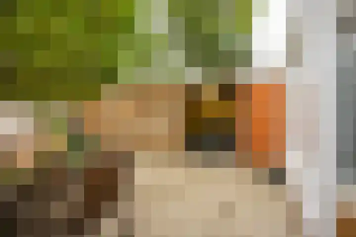 Heymanslaan 39 Groningen thumbnail 30
