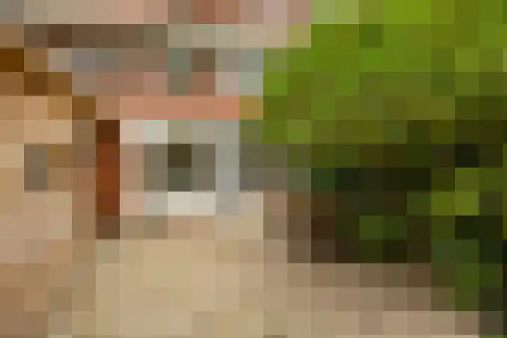 Heymanslaan 39 Groningen thumbnail 31