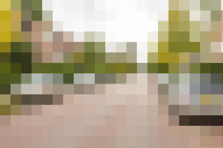 Heymanslaan 39 Groningen thumbnail 32