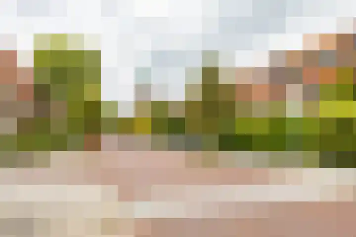 Heymanslaan 39 Groningen thumbnail 33