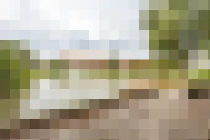Heymanslaan 39 Groningen thumbnail 34