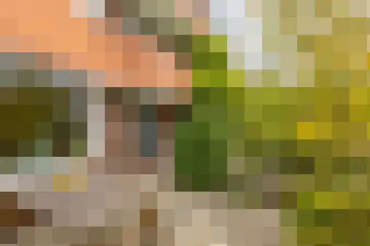 Heymanslaan 39 Groningen thumbnail 4