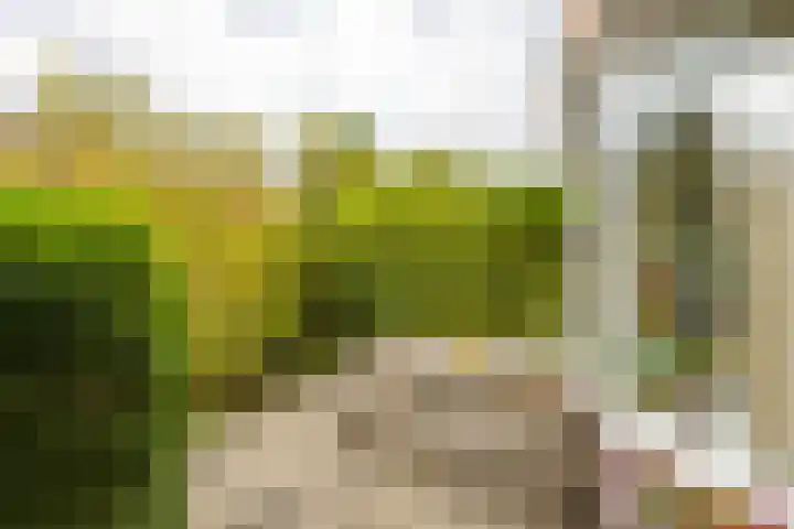 Heymanslaan 39 Groningen thumbnail 5