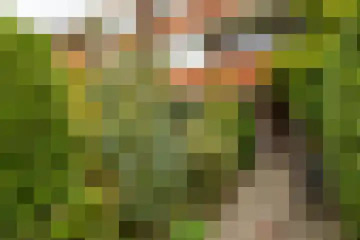 Heymanslaan 39 Groningen thumbnail 6