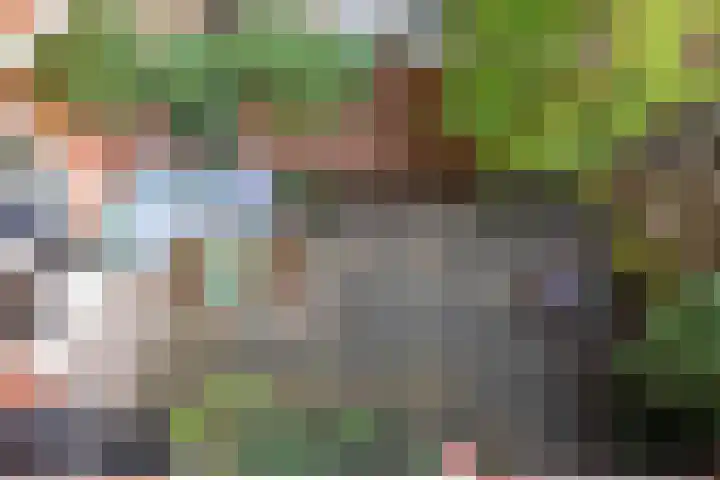 Heymanslaan 44 Groningen thumbnail 31