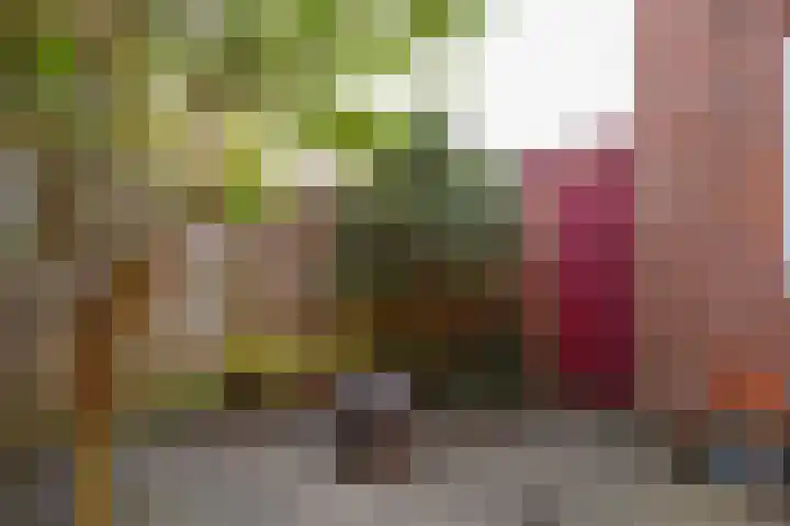 Heymanslaan 44 Groningen thumbnail 35