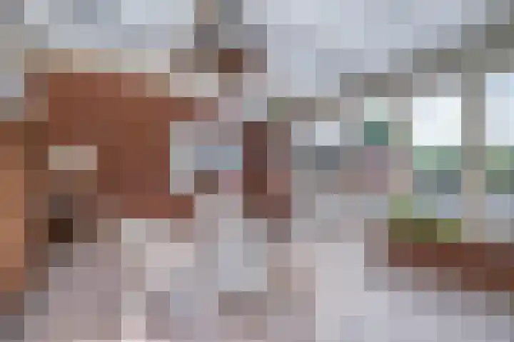 Heymansstraat 110 Venlo thumbnail 37