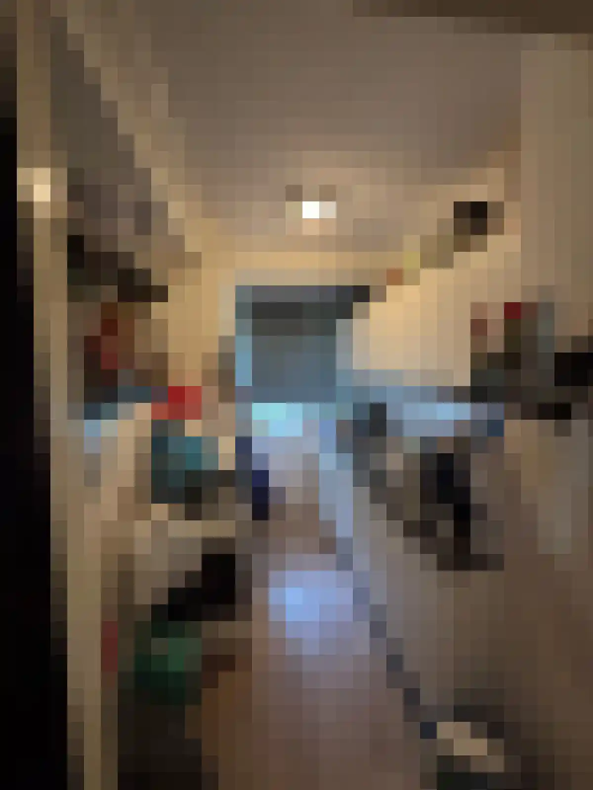 Heymansstraat 21 Rotterdam thumbnail 6