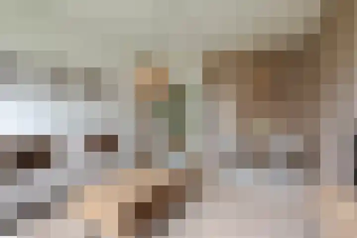 Heymansstraat 42 Rotterdam thumbnail 10