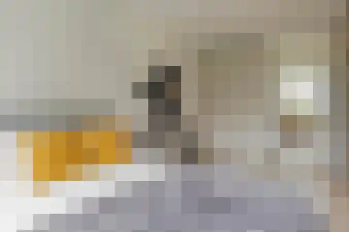Heymansstraat 42 Rotterdam thumbnail 13