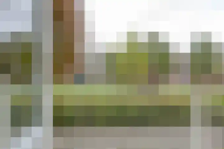 Heymansstraat 42 Rotterdam thumbnail 17