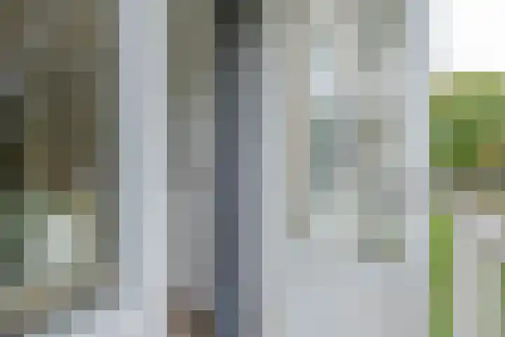 Heymansstraat 42 Rotterdam thumbnail 18