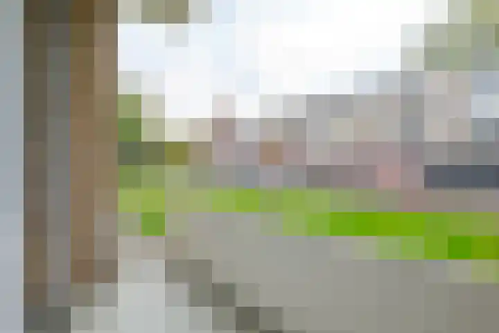 Heymansstraat 42 Rotterdam thumbnail 24