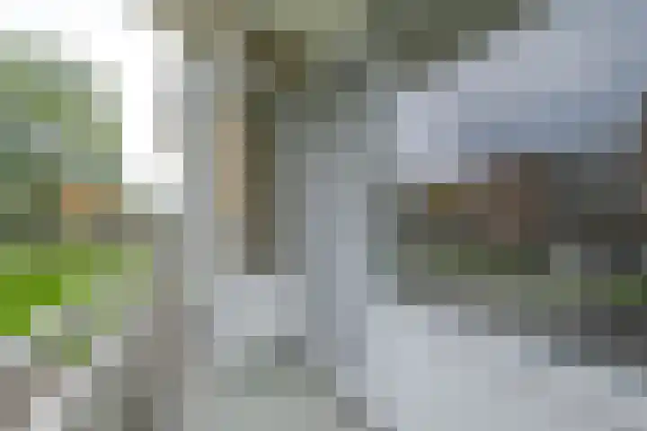 Heymansstraat 42 Rotterdam thumbnail 25