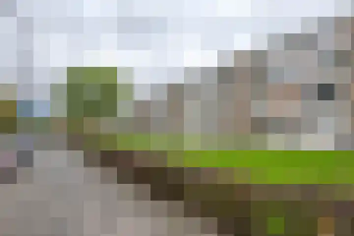 Heymansstraat 42 Rotterdam thumbnail 6