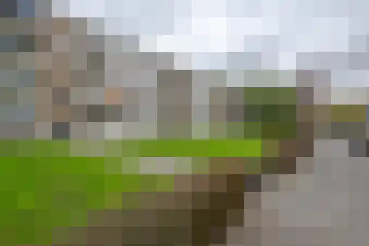 Heymansstraat 42 Rotterdam thumbnail 7