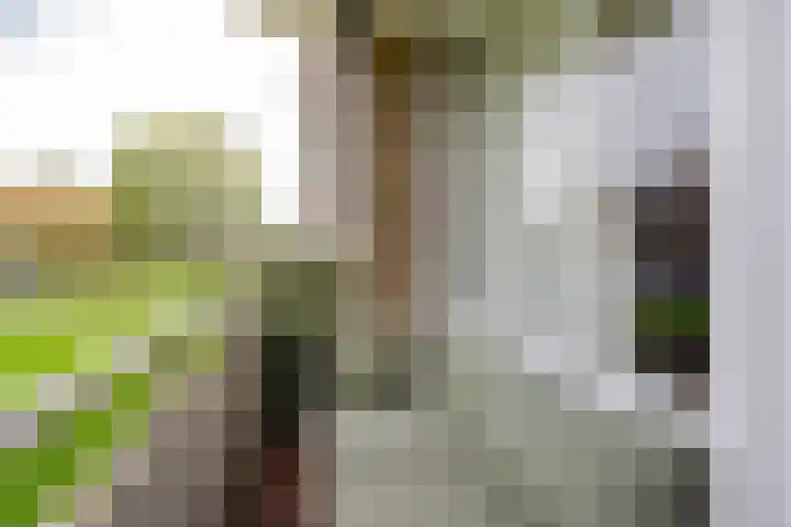 Heymansstraat 50 Rotterdam thumbnail 15